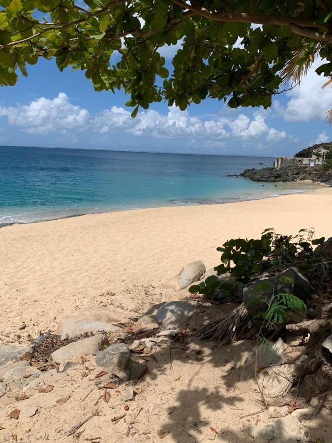 St Martin Nettle Bay Lovely Appartment Sandy Ground Exterior foto